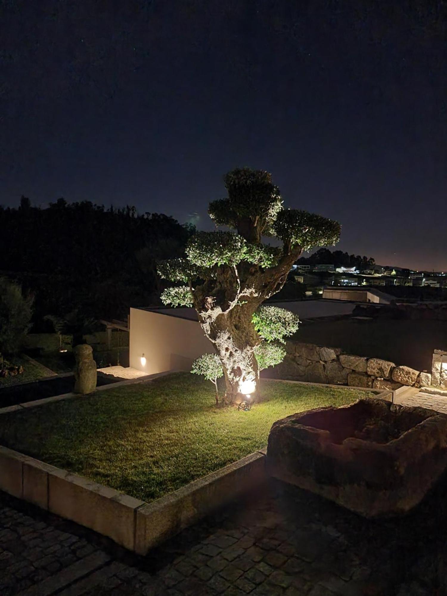 Casa Da Leira Villa Amarante Luaran gambar