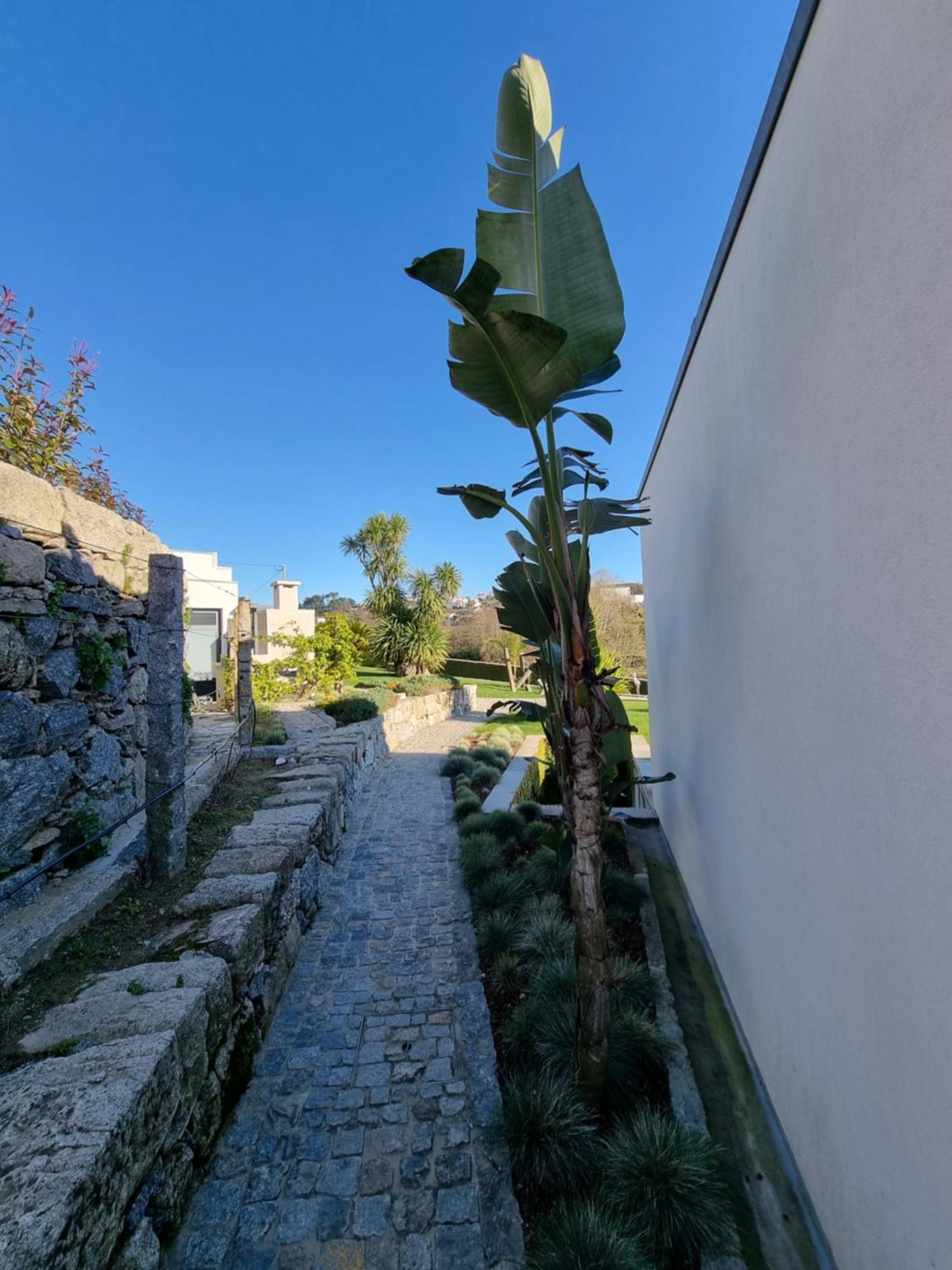 Casa Da Leira Villa Amarante Luaran gambar