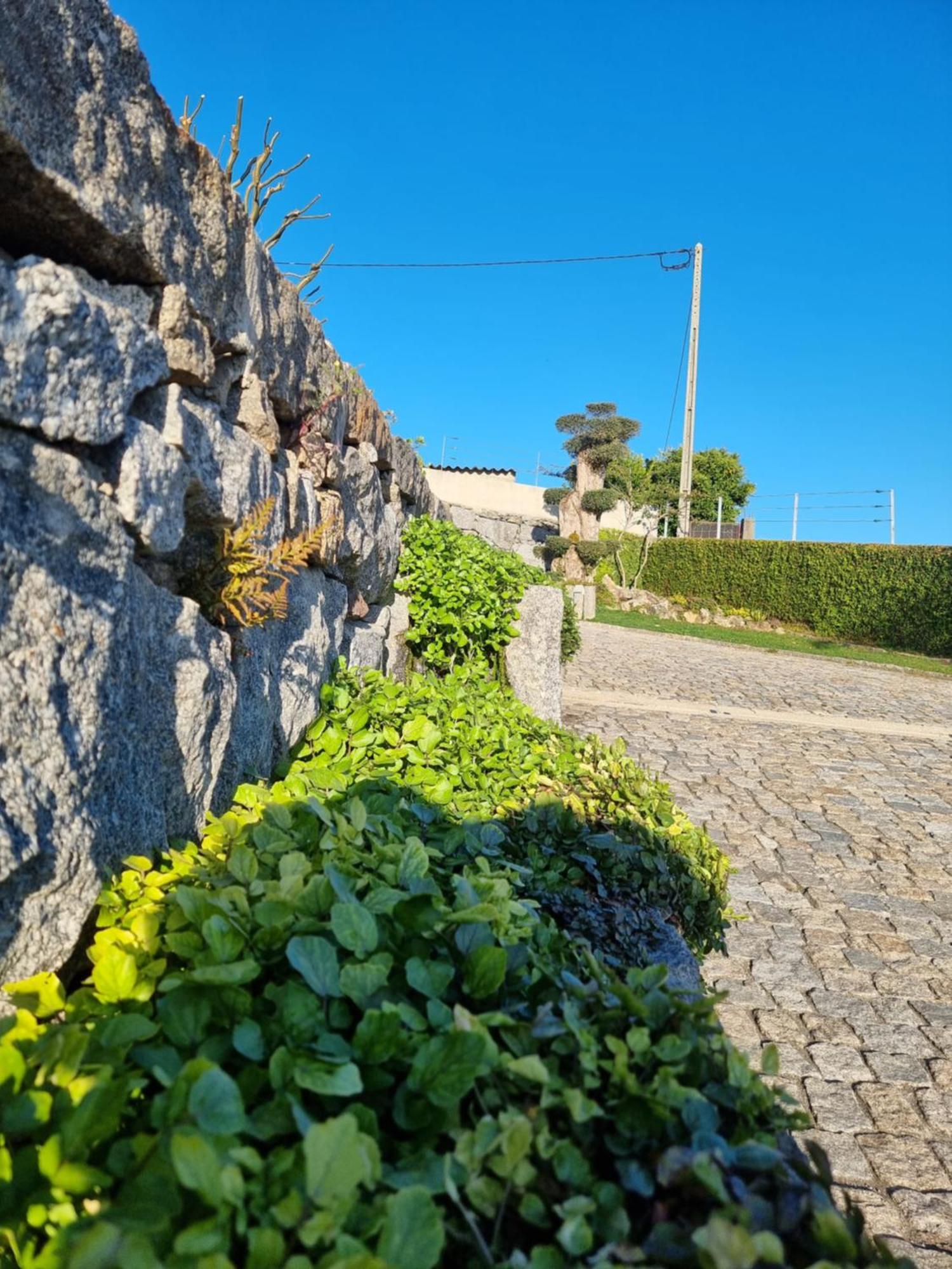 Casa Da Leira Villa Amarante Luaran gambar