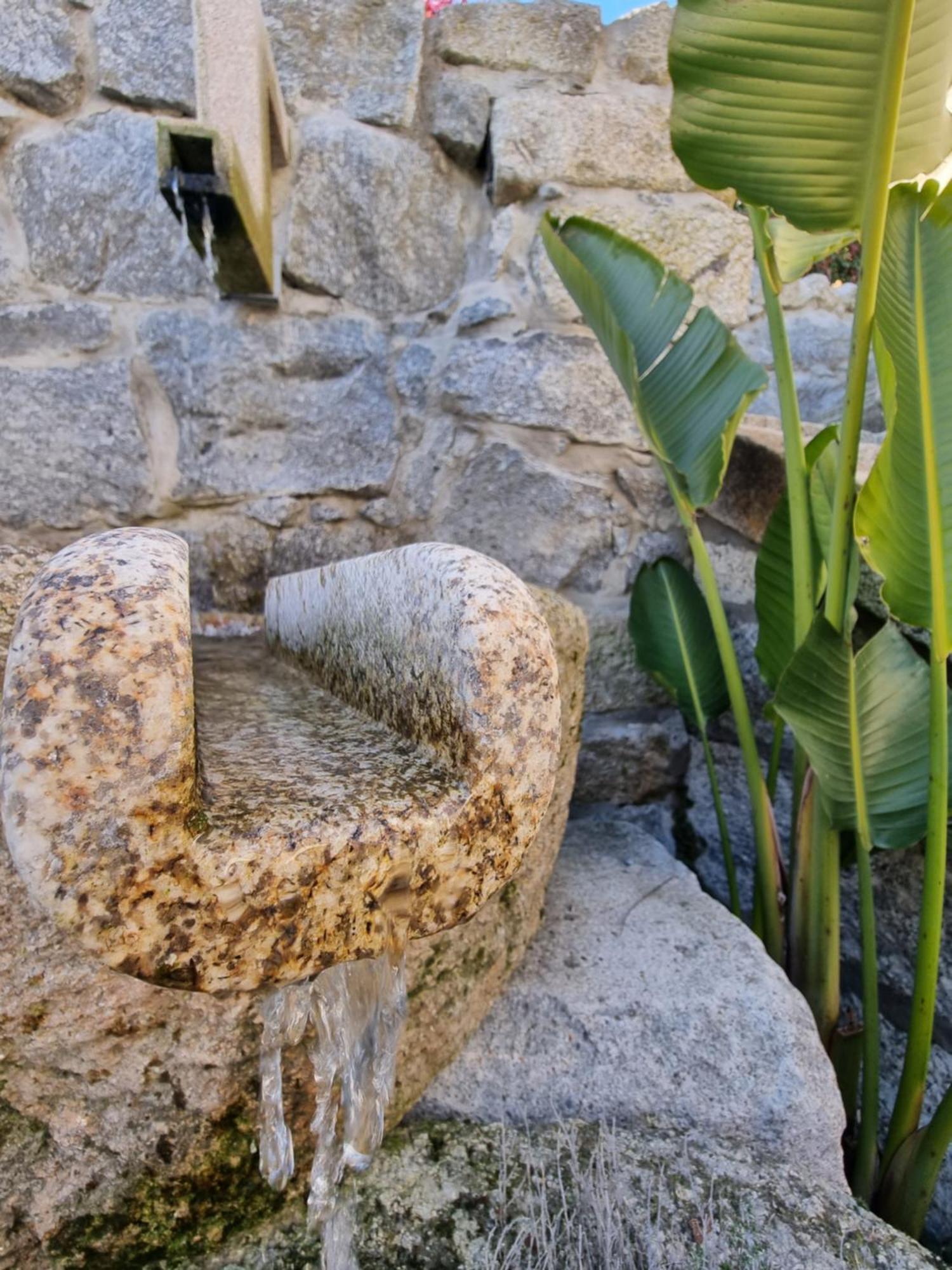 Casa Da Leira Villa Amarante Luaran gambar