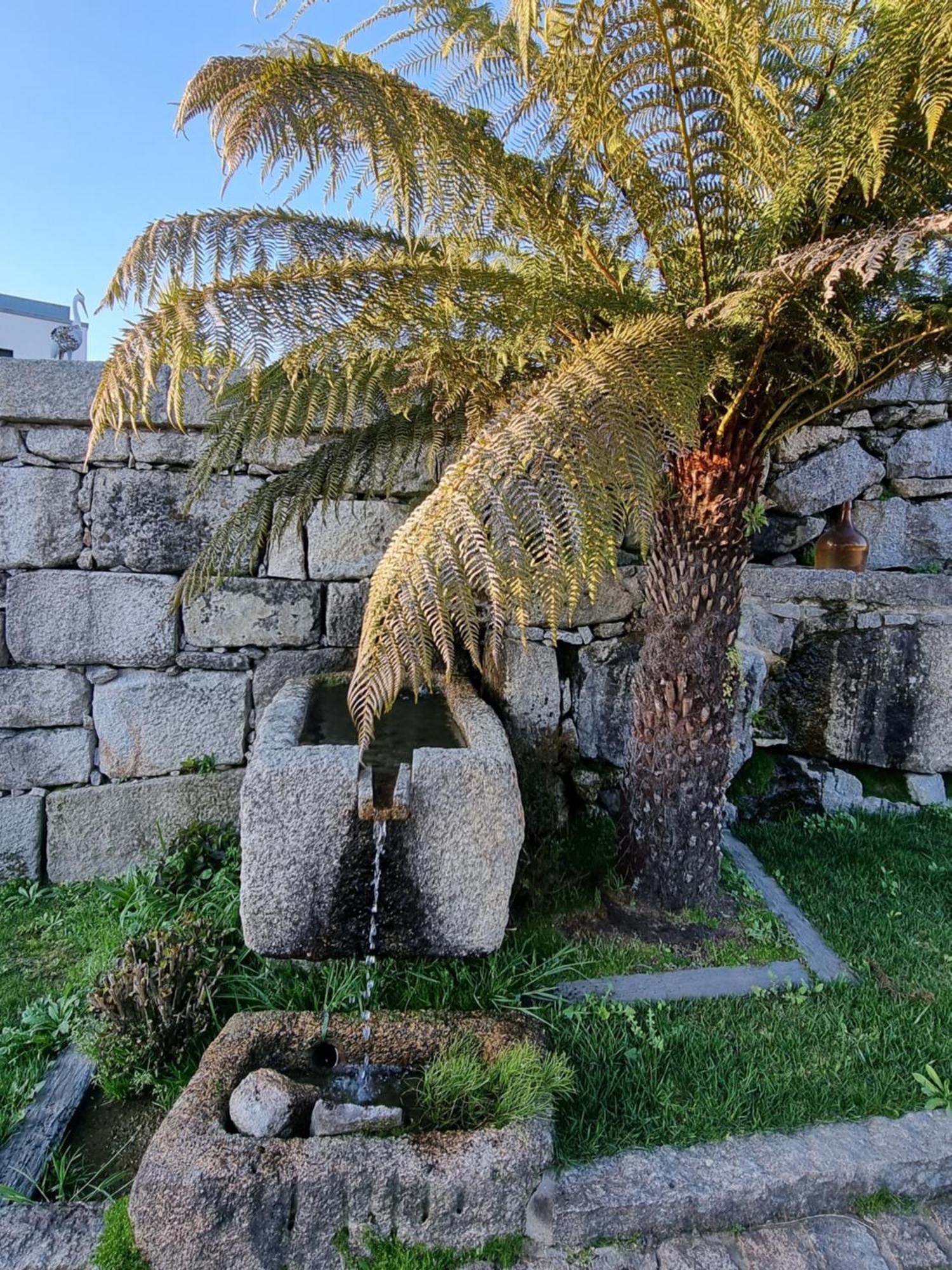Casa Da Leira Villa Amarante Luaran gambar